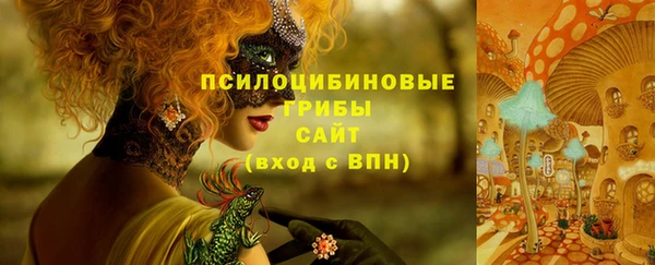 хмурый Абинск