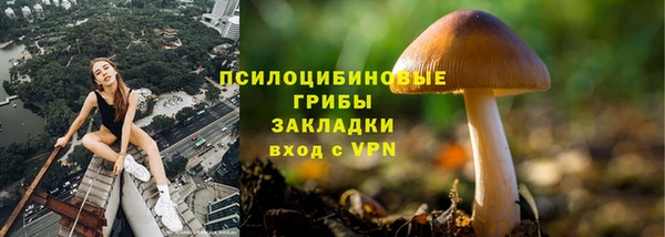скорость Алексин
