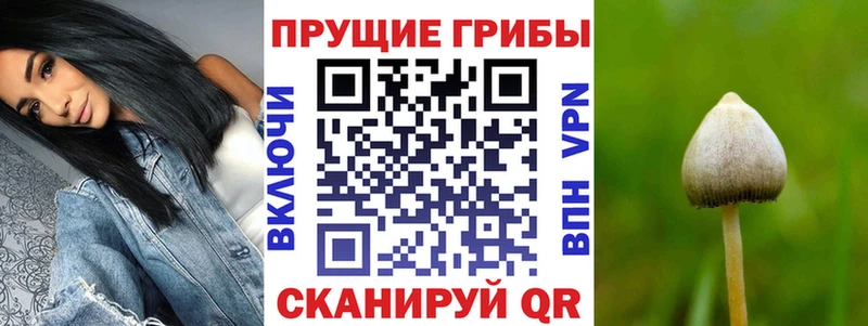 Псилоцибиновые грибы мицелий Петров Вал